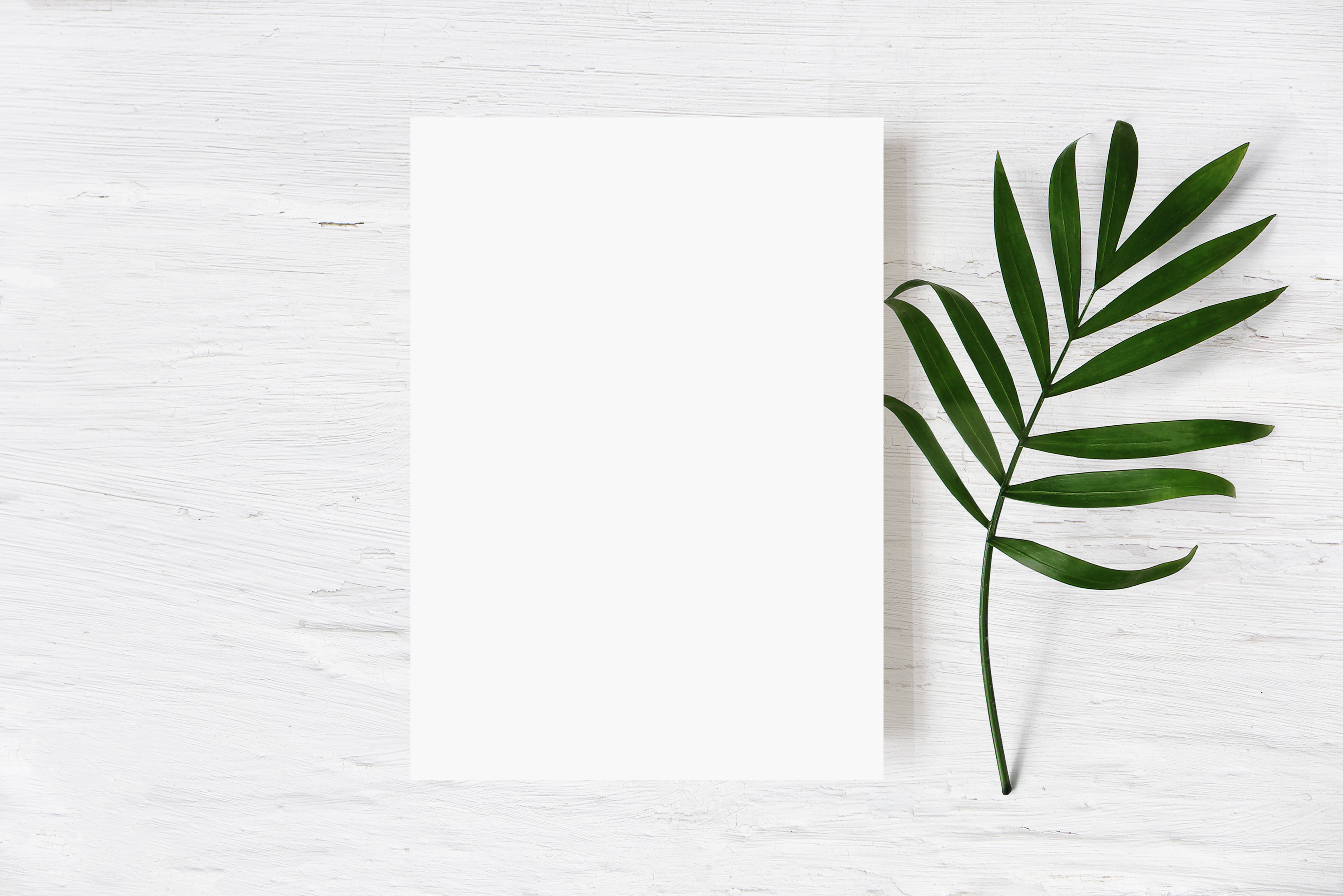 Commercial Printing PLP Category Hero Image -Cover.jpg Commercial Printing PLP Category Hero Image -Cover.jpg