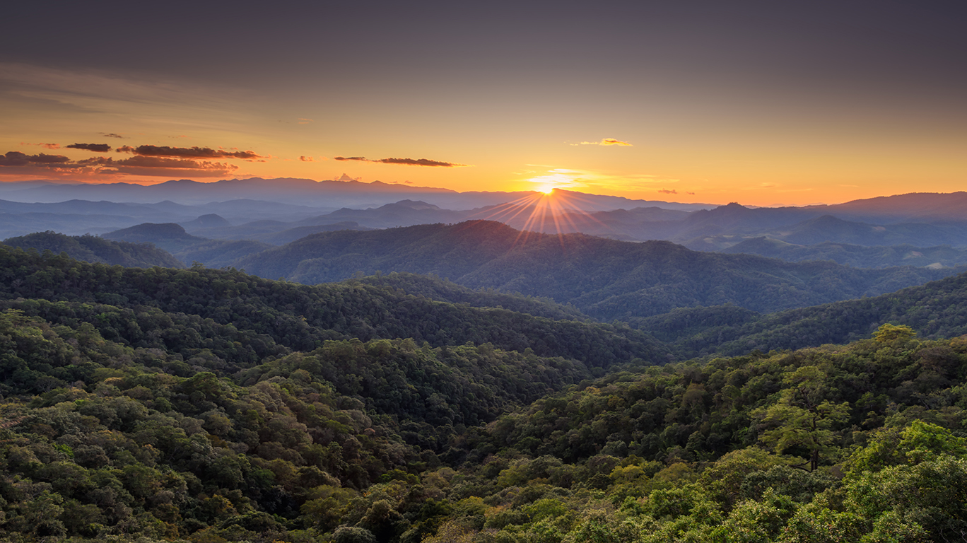 sunrise august banner.jpg sunrise august banner.jpg
